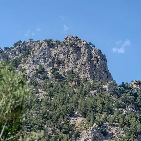 Irene's Myrtonas Villa