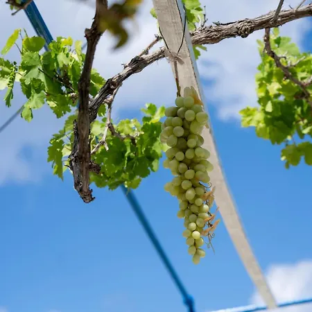 Irene's Myrtonas Villa